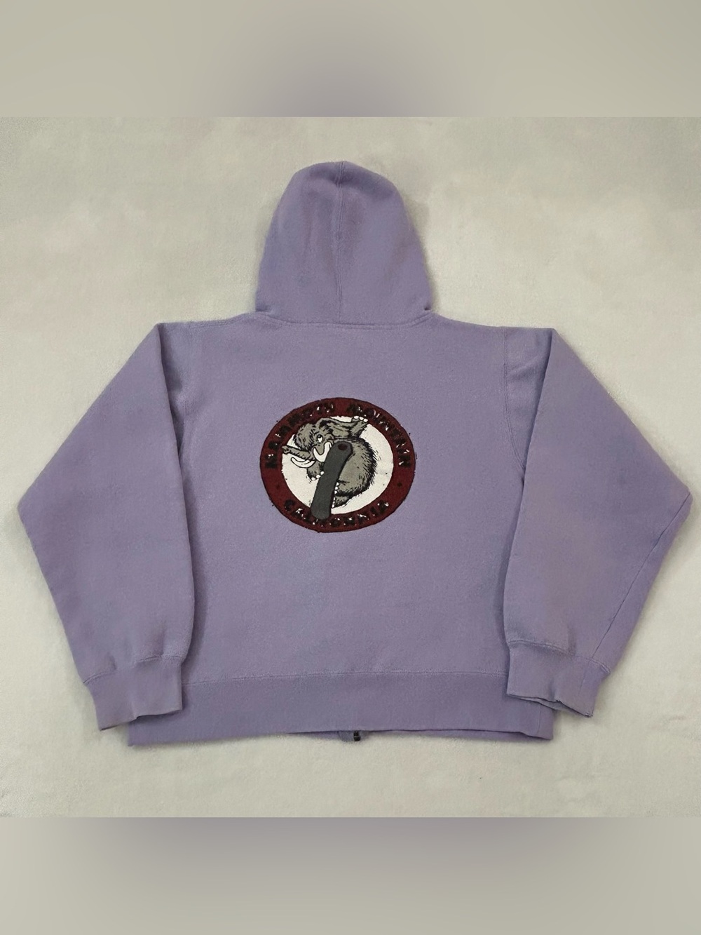 Mammoth Mountain California Lavender Full Zip Up Hoodie Sweatshirt Women’s M